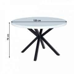 Jídelní stůl, bílá matná/černá, průměr 120 cm, MEDOR