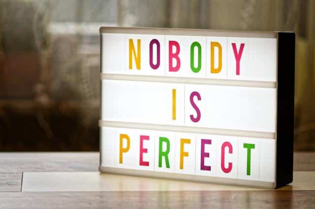 nikdo není dokonalý