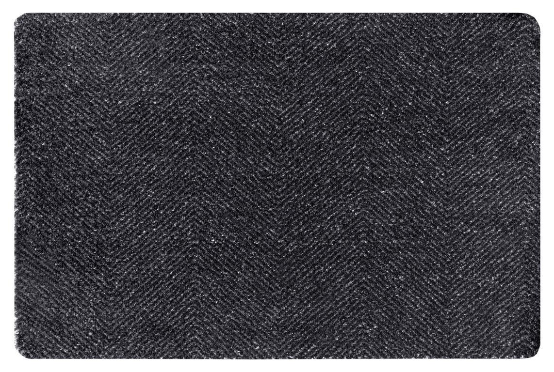 Levně Hanse Home Rohožka Clean & Go 105350 – černá 45x67 cm