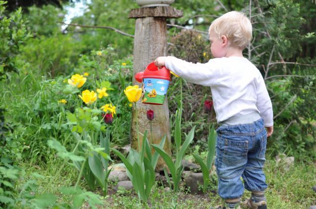 Dítě zalévá zahradu